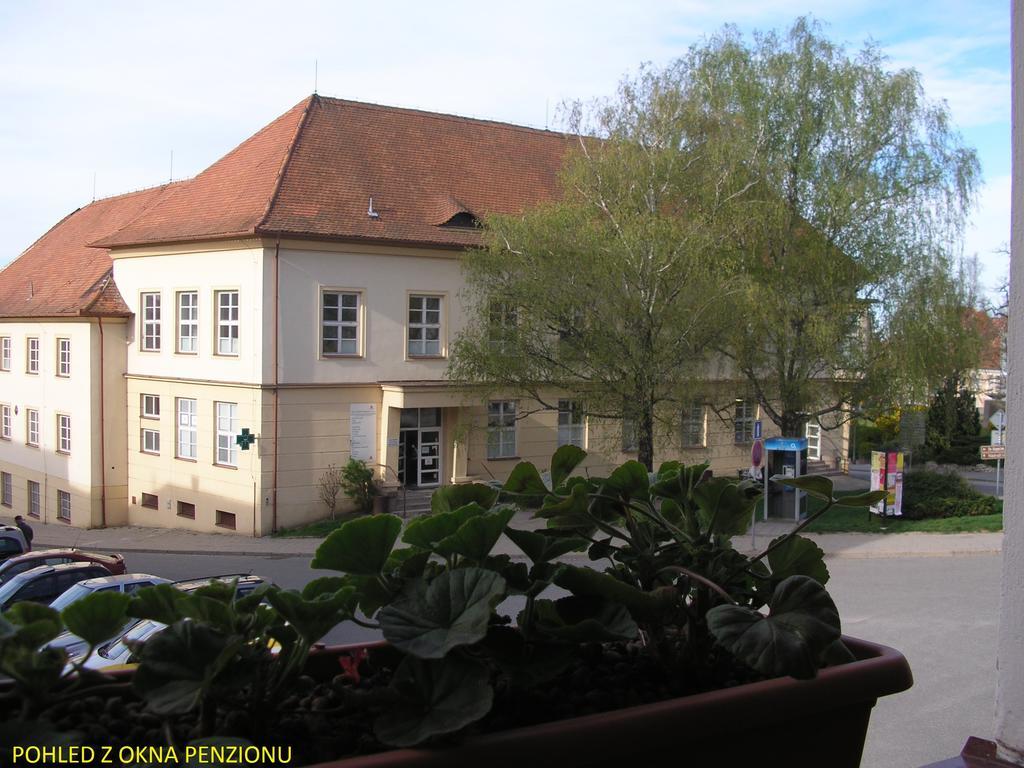 Penzion U Zabaka Mikulov Exterior foto