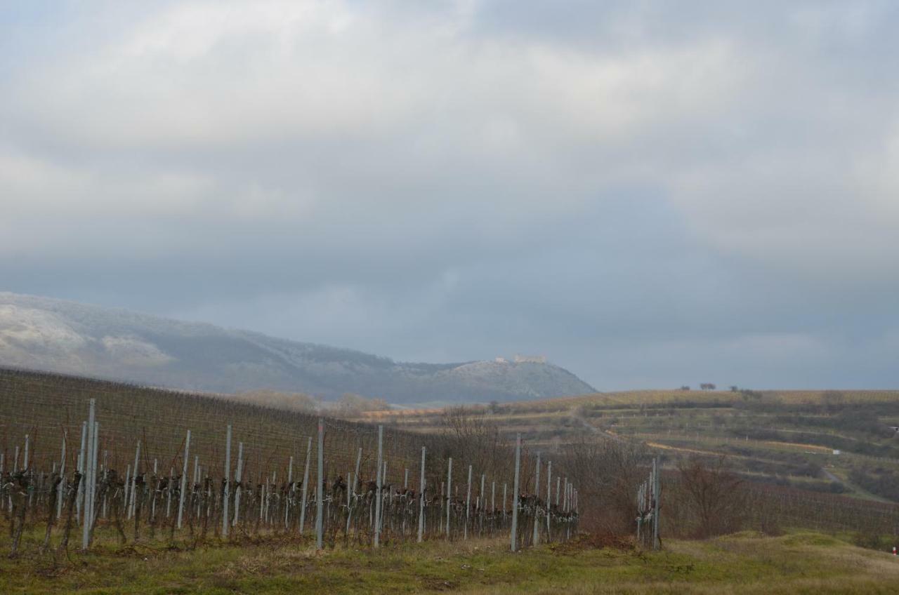 Penzion U Zabaka Mikulov Exterior foto