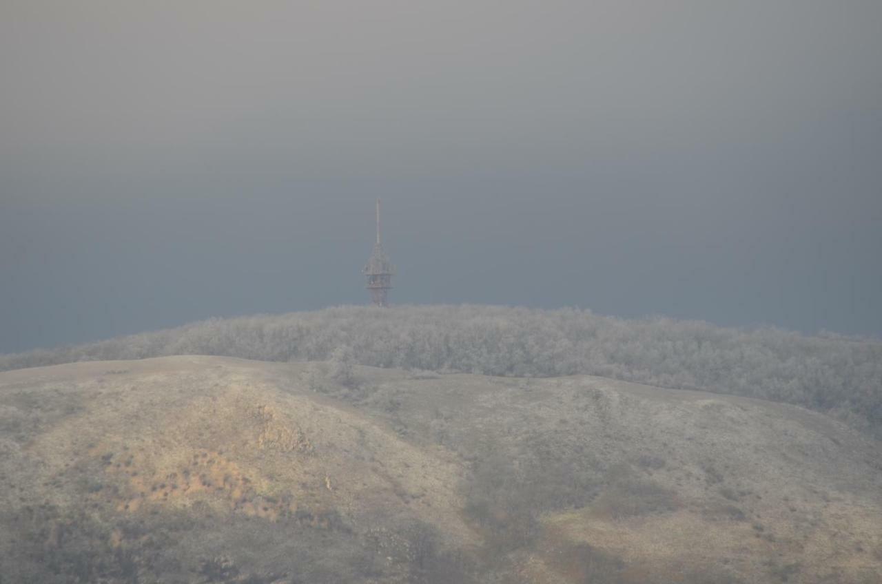 Penzion U Zabaka Mikulov Exterior foto